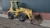 Atlas 80 shovel met kenteken (bj2001) 80
