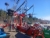 Massey Ferguson RK802TRC Karhotin Demo