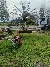 CLAAS Liner 680 CLAAS Liner 680