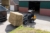 GiANT G2300HD