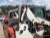Bobcat S530
