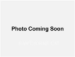 CAT 950GC, Wheel Loaders, Construction