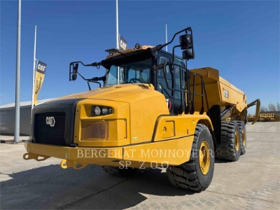cat-730,10190538_1.jpg