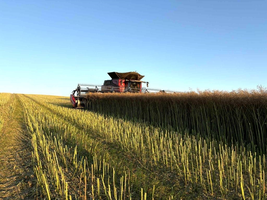 Case IH Axial Flow AF10