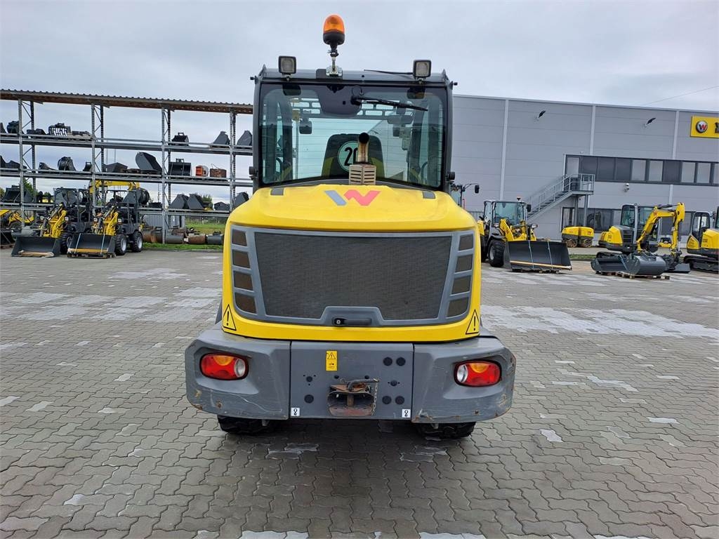 Radlader Wacker Neuson WL70 mit Schnellwechsler Radlader Wacker Neuson WL70 mit Schnellwechsler