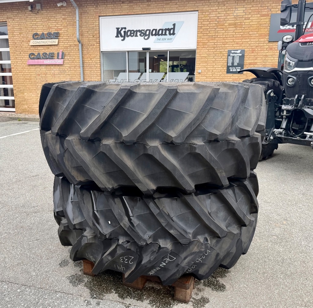Trelleborg TM 900 600/70 R30