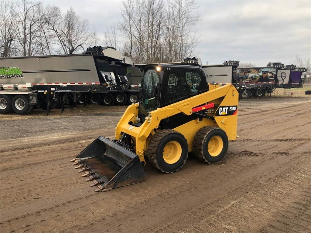 Caterpillar 236 D, Skid Steer Loaders, Construction