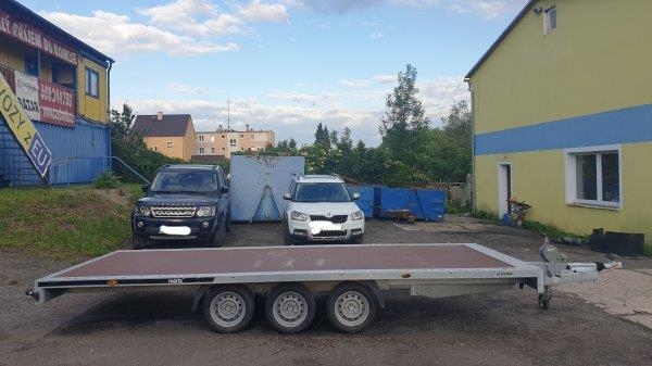 [Other] _JINÉ (PL) Martz - W14 ZGV