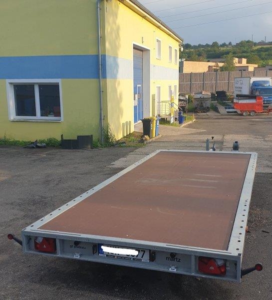 [Other] _JINÉ (PL) Martz - W14 ZGV