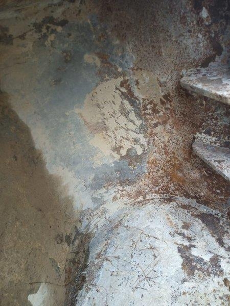 [Other] _JINÉ Strickland/Rhinox