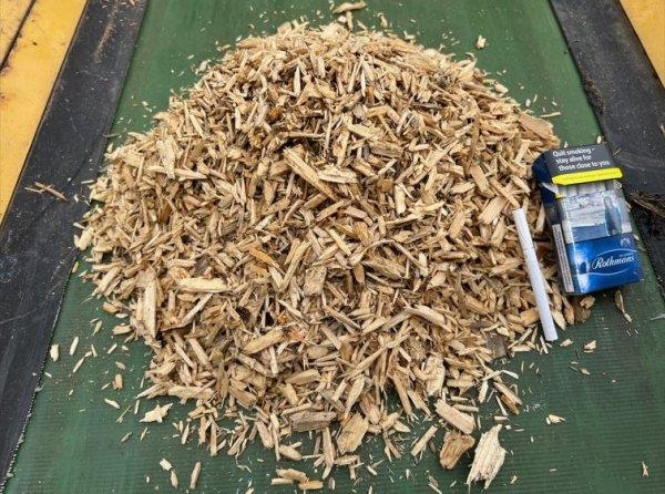 [Other] _JINÉ Vermeer - HG 200