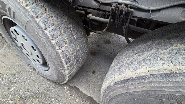 Tatra T158 Phoenix (+ DAF)