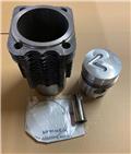 Deutz-Fahr Cylinder / piston set 912W 02929972, 02921586、引擎/發動機
