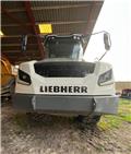 Liebherr TA 230, 2021, Camiones articulados