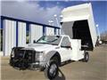 Ford F 550, 2011, Iba
