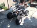 Shineray 300 ATV, 2010, ATV/Quad