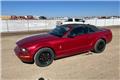 Ford Mustang, 2008, Mobil
