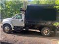 Ford F 650, 2000, Wood Chippers