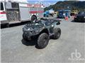 Argo 4x4, 2021, ATV
