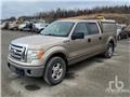 Ford F 150, 2012, Pick up/Dropside
