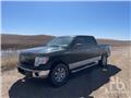 Ford F 150, 2013, Caja abierta/laterales abatibles