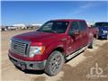 Ford F 150, 2012, Caja abierta/laterales abatibles