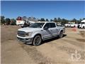 Ford F 150, 2019, Caja abierta/laterales abatibles