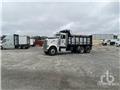 Peterbilt 388, 2009, Dump Trucks