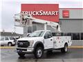 Ford F 550, 2019, Truck Mounted Aerial Platforms