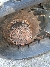 Wacker Neuson ET16, Tracked / Mini excavators, Products
