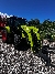 CLAAS Arion 530 Powershift, Traktorer, Landbrug