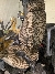 Komatsu Pc 78 us- 10, Midigravere 7 - 12t, Anlegg