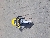 Wacker Neuson BTS635s, Rock and Concrete Saws, Products