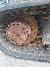 Wacker Neuson EZ80, Tracked / Mini excavators, Products