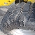Wacker Neuson WL38, Wheel Loaders, Products