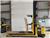 Hyster R30XMF2, 2011, High lift order picker