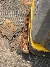 Wacker Neuson DPU6555Hecsh, Vibratory Plates, Products