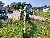 Wacker Neuson ET35, Tracked / Mini excavators, Products