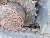 Wacker Neuson ET35, Tracked / Mini excavators, Products