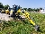 Wacker Neuson ET35, Tracked / Mini excavators, Products