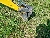 Wacker Neuson ET35, Tracked / Mini excavators, Products
