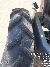 Wacker Neuson 1001, Site dumpers, Products