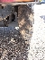 Wacker Neuson 1001, Site dumpers, Products