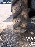 Wacker Neuson 1001, Site dumpers, Products