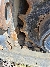 Wacker Neuson DT23, Tracked Dumpers, Products