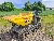 Wacker Neuson DT23, Tracked Dumpers, Products