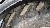 Wacker Neuson WL 54, Wheel Loaders, Products