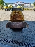 Wacker Neuson DT10e, Tracked Dumpers, Products