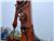 Doosan DX 140 W CENTRAL LUBRICATION / WEBASTO / 2D, 2009, Excavator - beroda