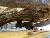 CAT 299D3XE, Mini Pale Gommate, Attrezzature Da Costruzione